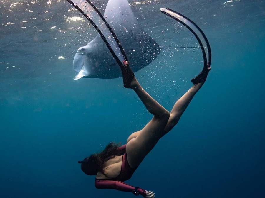 Freediver descending with a manta ray at the surface — Snorkel Pro, Kona