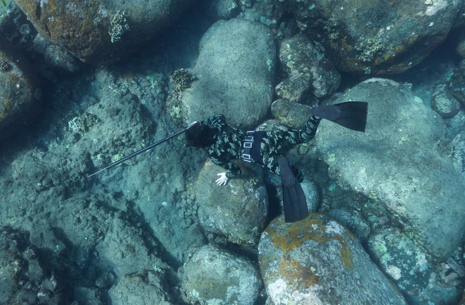 Hunting over reef structure, Big Island